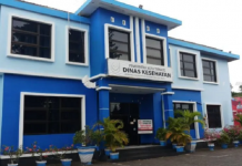 Dinkes Kota Ternate cegah penyebaran DBD